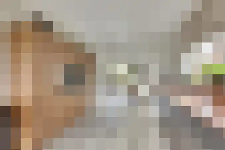 Brinklaan 78 Ruurlo thumbnail 5
