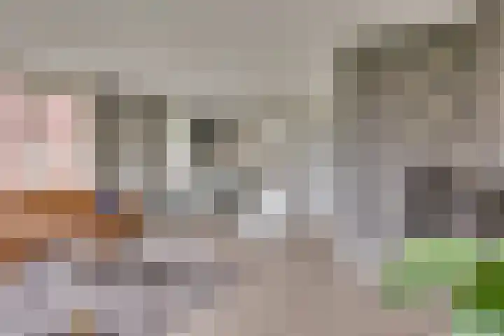Brinklaan 78 Ruurlo thumbnail 7