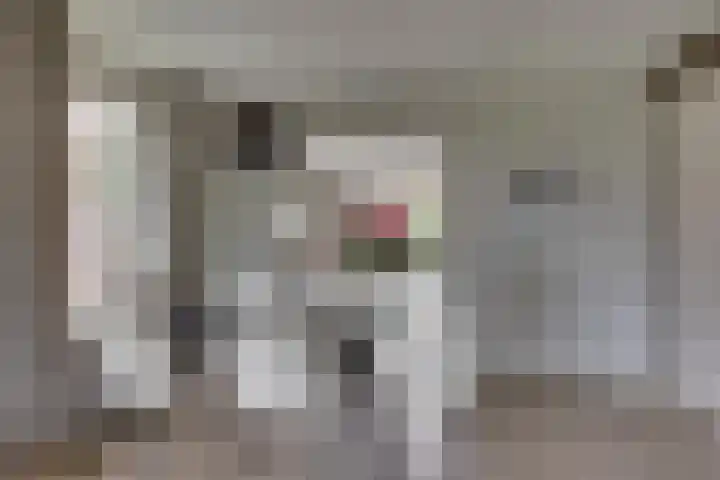 Brinklaan 78 Ruurlo thumbnail 9