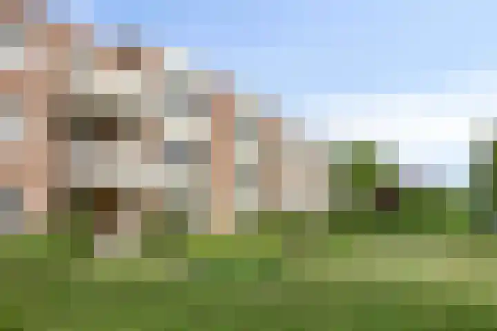 Brinklaan 8 Heerde