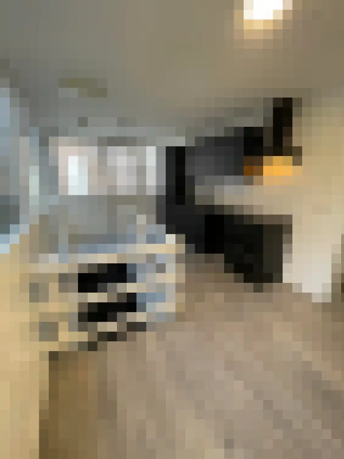 Brinklaan Apeldoorn thumbnail 4