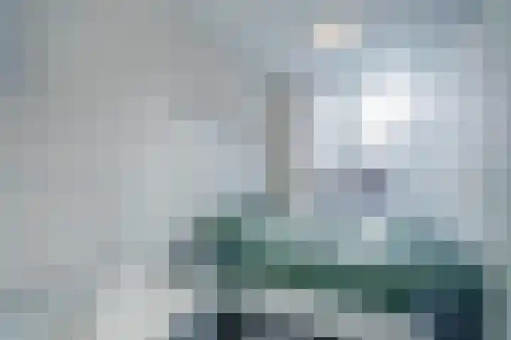 Brinklande 12 Pijnacker thumbnail 15
