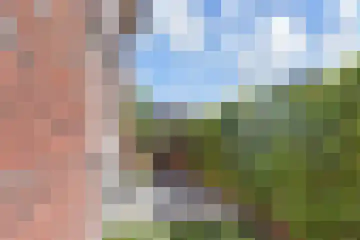 Brinklande 14 Pijnacker foto 2