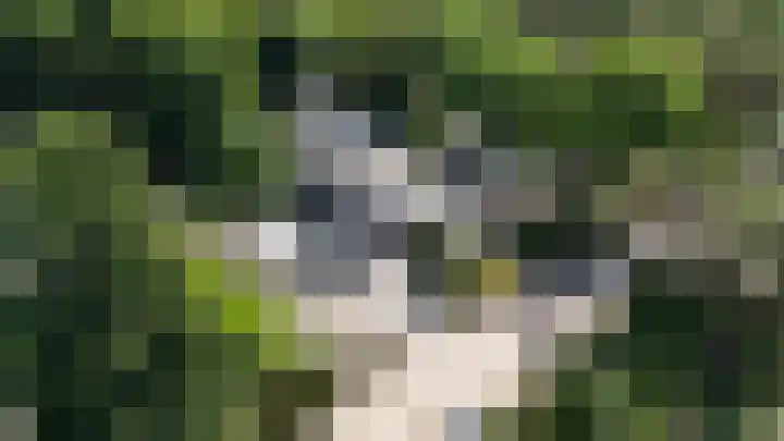 Brinklande 14 Pijnacker thumbnail 23