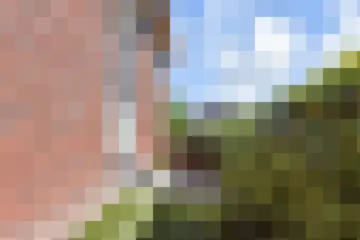 Brinklande 14 Pijnacker thumbnail 34