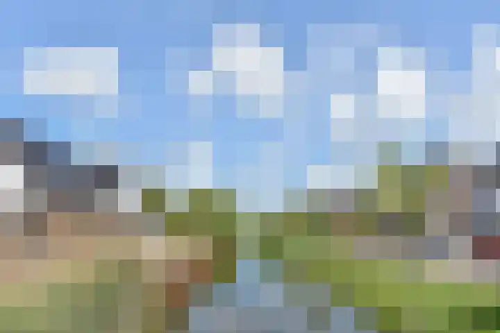 Brinklande 14 Pijnacker thumbnail 37