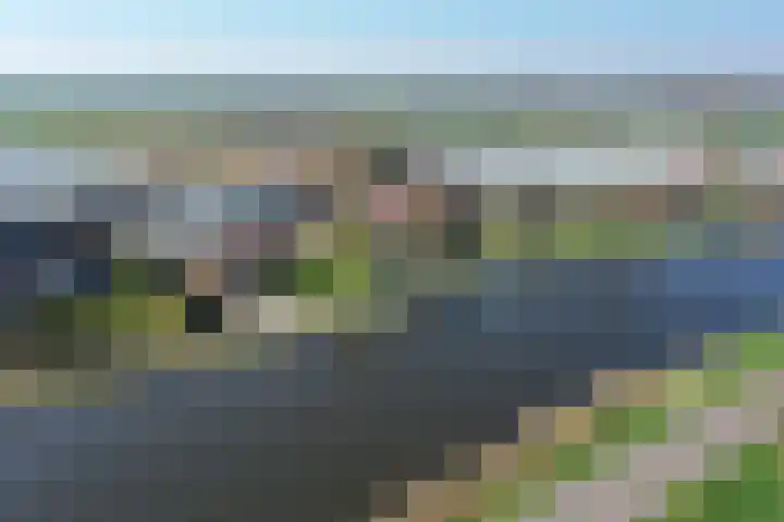 Brinklande 14 Pijnacker thumbnail 42