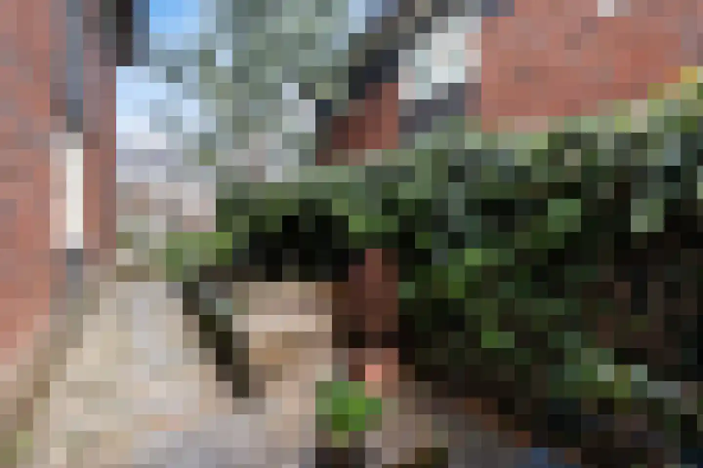 Brinklande 16 Pijnacker thumbnail 24