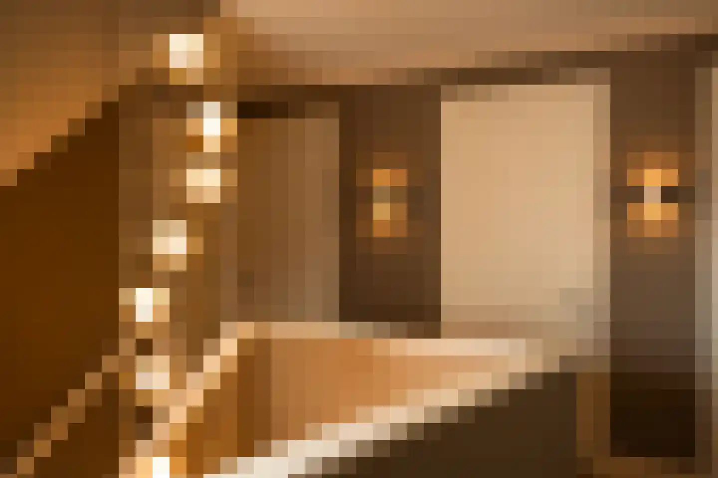 Brinklande 2 d Pijnacker thumbnail 12