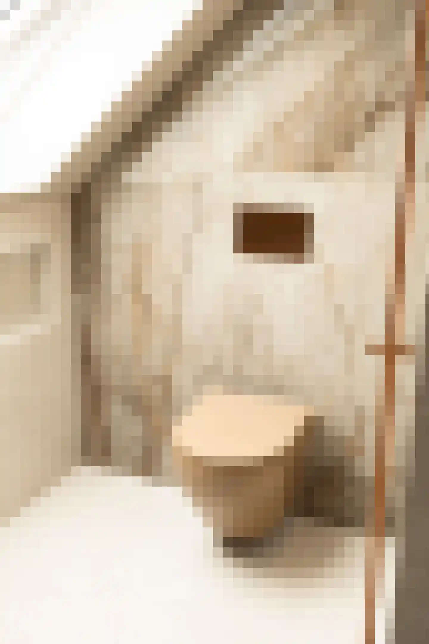 Brinklande 2 d Pijnacker thumbnail 26