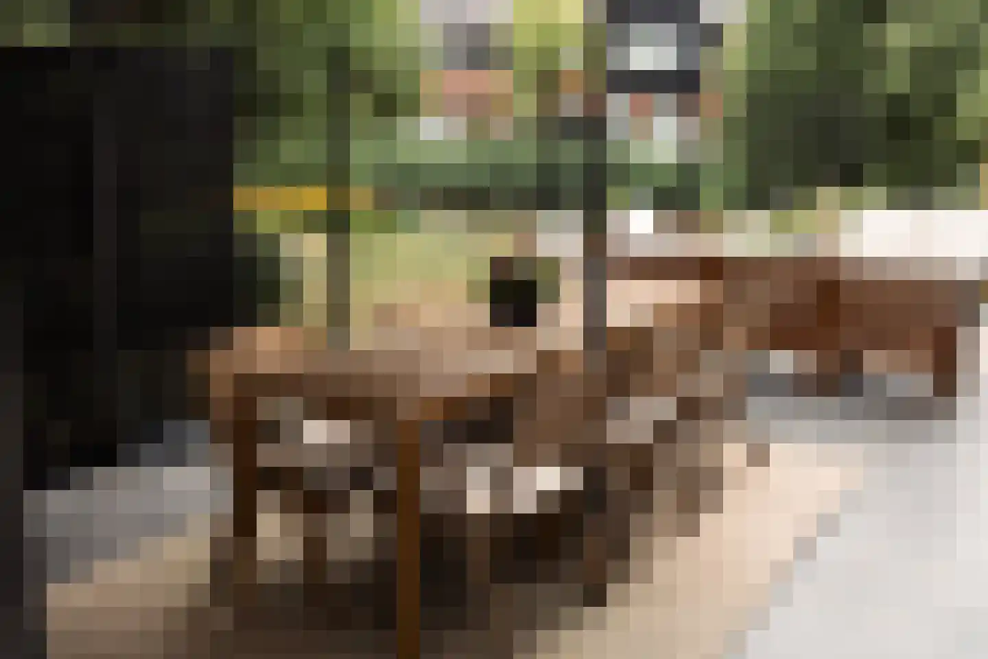 Brinklande 2 d Pijnacker thumbnail 29