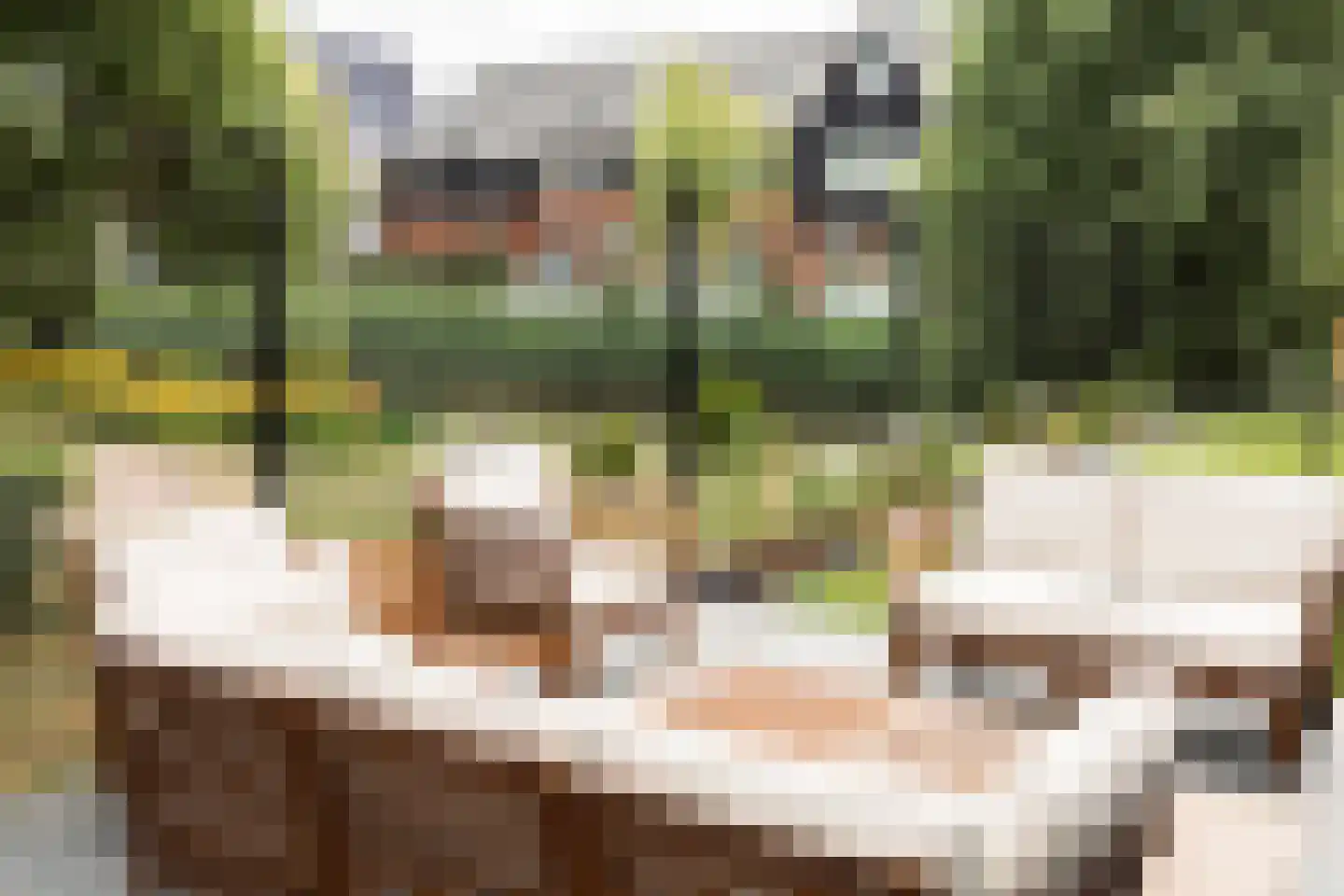Brinklande 2 d Pijnacker thumbnail 30