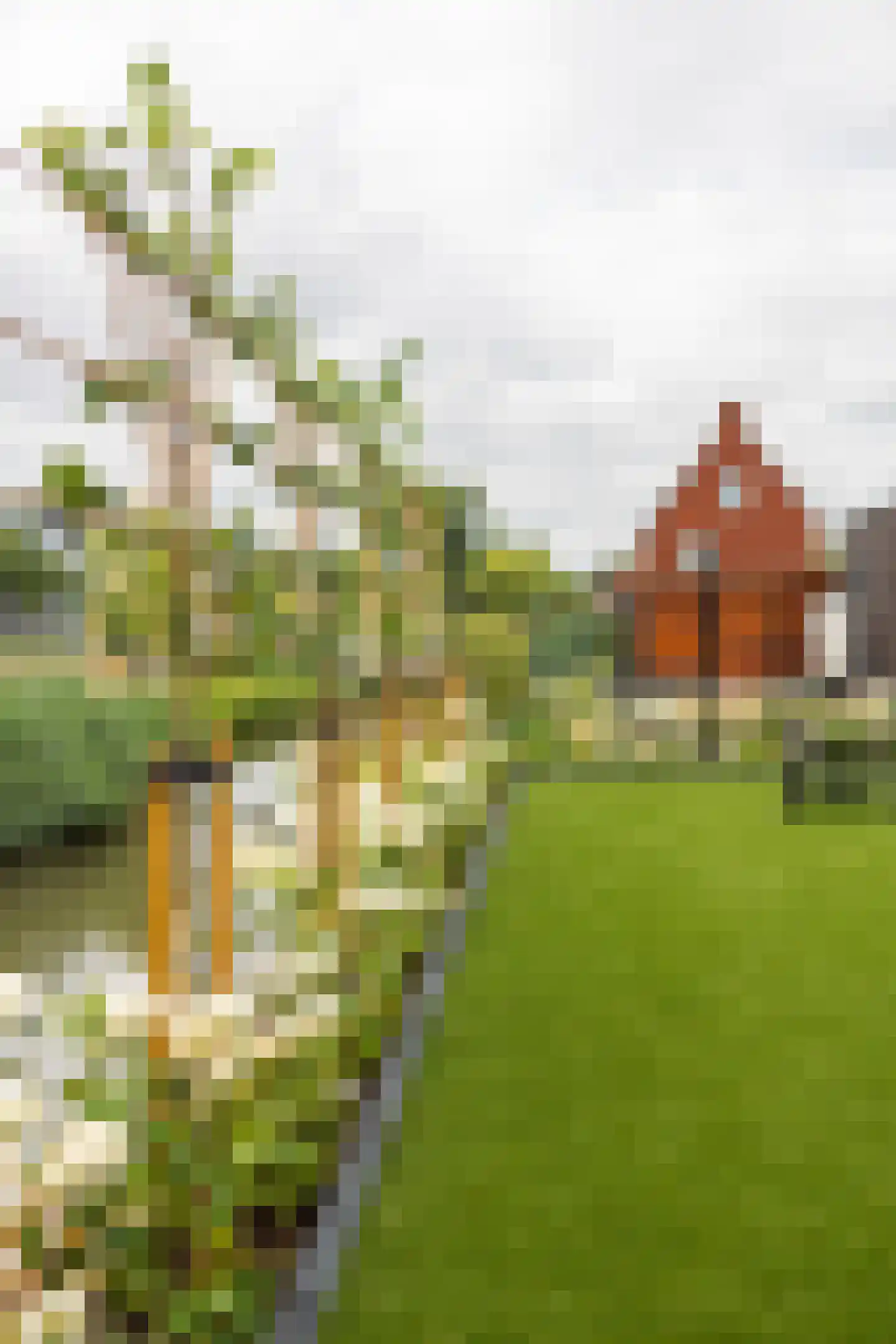 Brinklande 2 d Pijnacker thumbnail 33