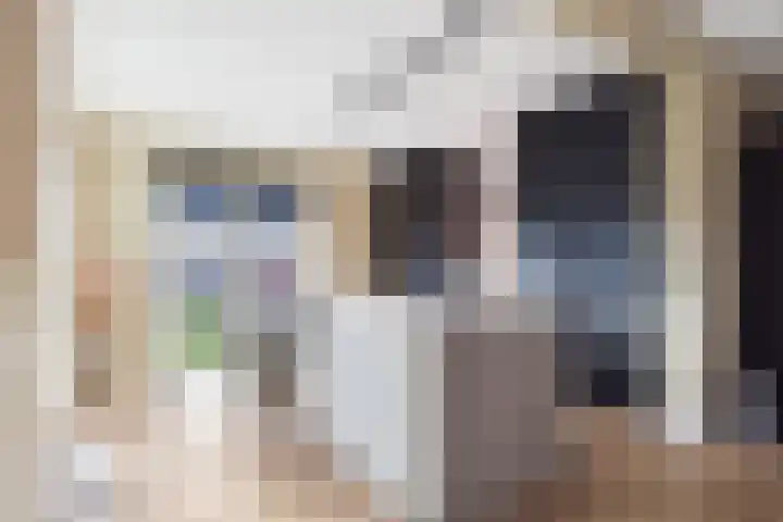 Brinklande 2 e Pijnacker thumbnail 10