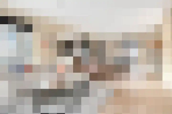 Brinklande 2 e Pijnacker thumbnail 7