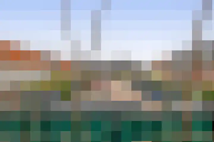 Brinklande 31 Pijnacker thumbnail 20