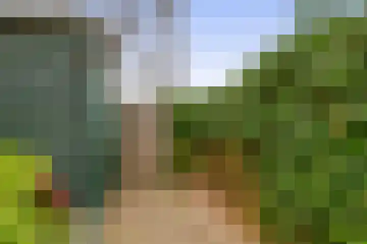 Brinklande 47 Pijnacker thumbnail 12