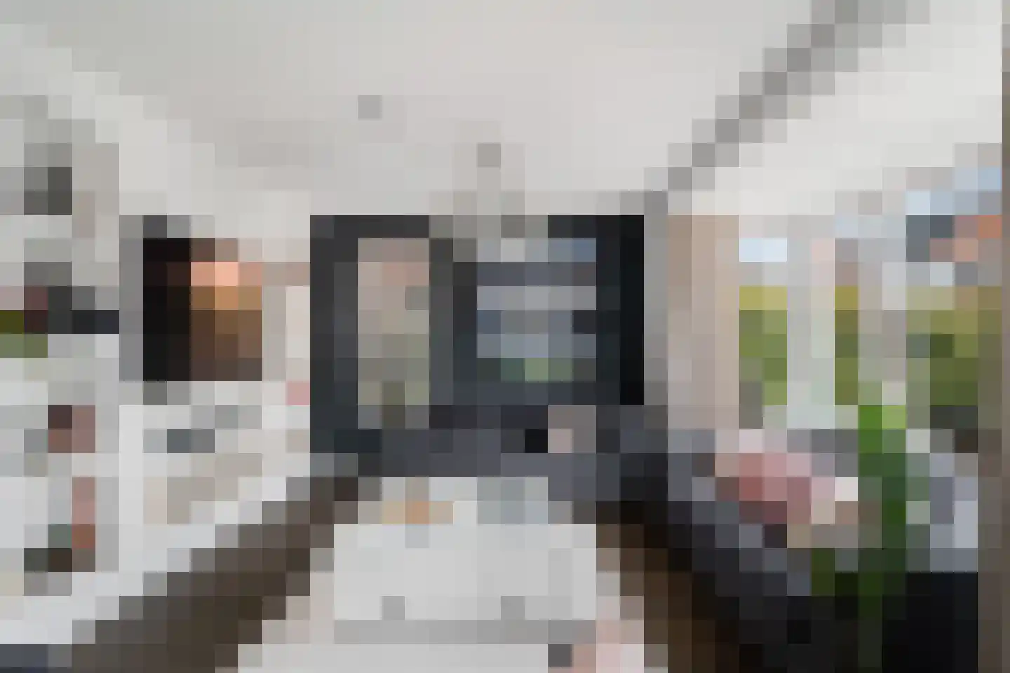 Brinklande 5 Pijnacker thumbnail 19