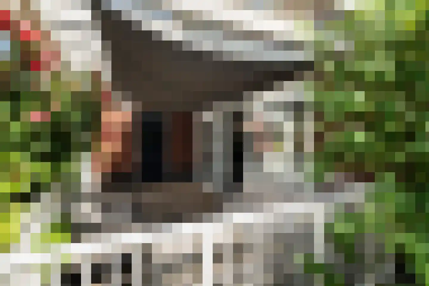 Brinklande 5 Pijnacker thumbnail 36