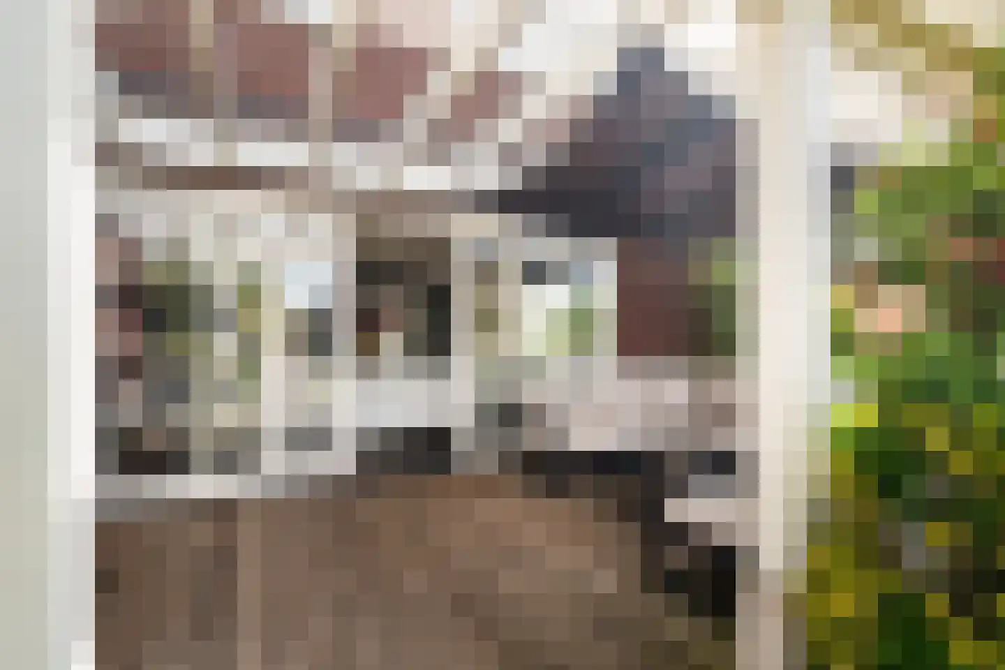 Brinklande 5 Pijnacker thumbnail 37