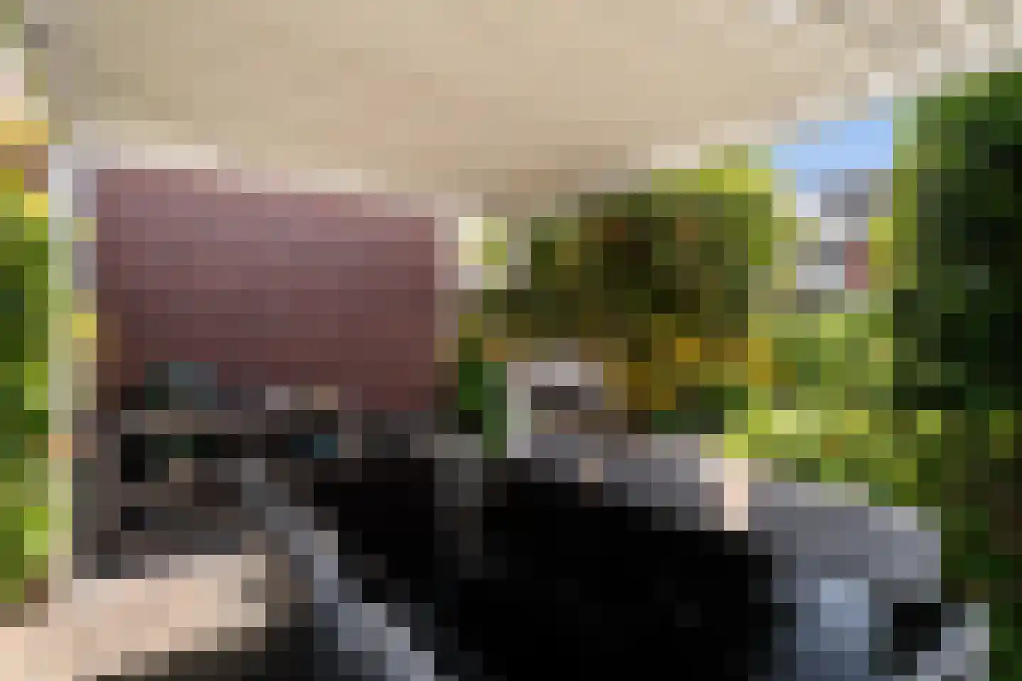 Brinklande 5 Pijnacker thumbnail 38