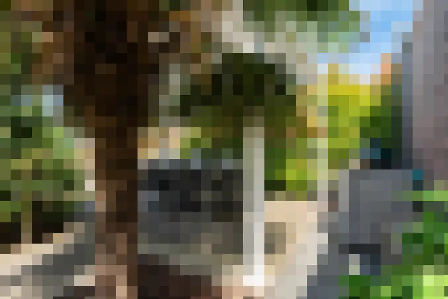 Brinklande 5 Pijnacker thumbnail 40