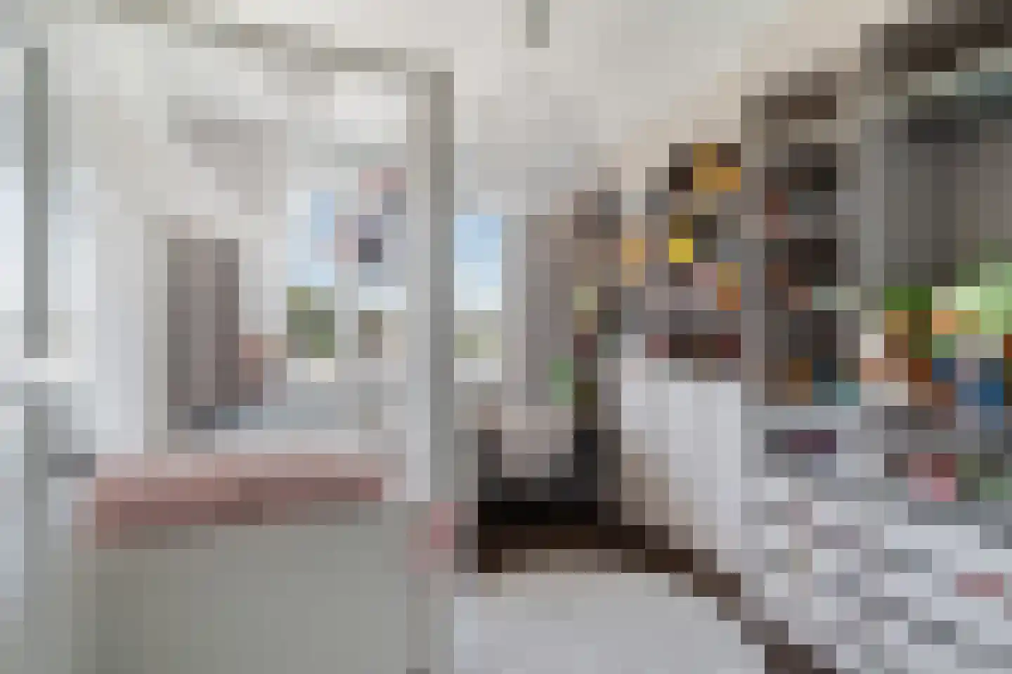 Brinklande 5 Pijnacker thumbnail 58
