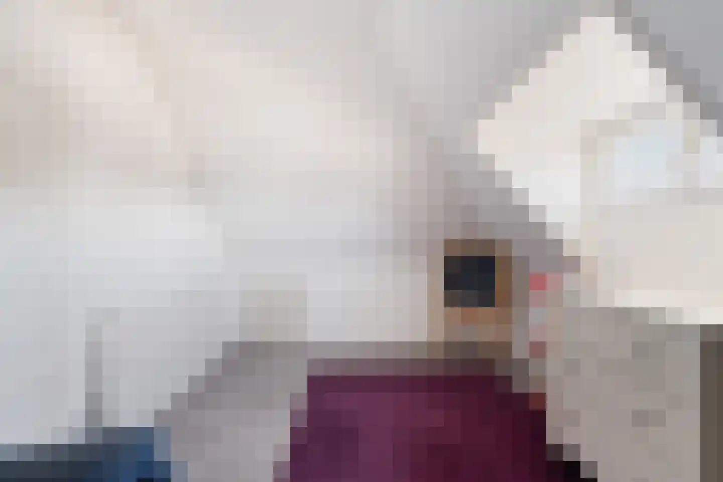 Brinklande 5 Pijnacker thumbnail 69