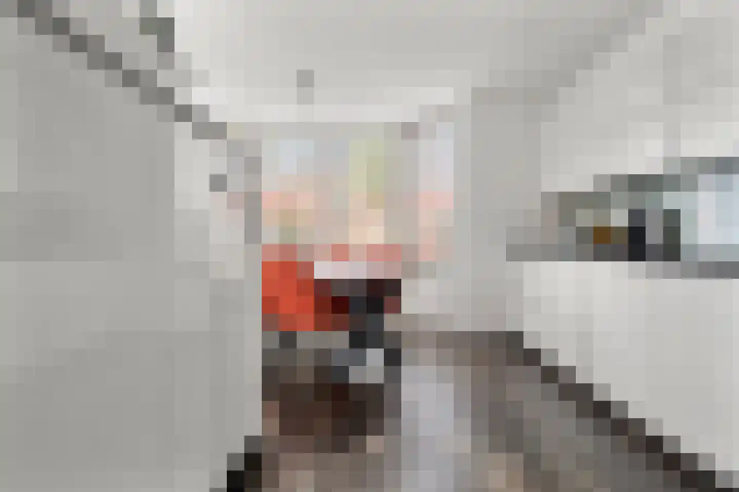Brinkmanlaan 2 Wageningen thumbnail 31