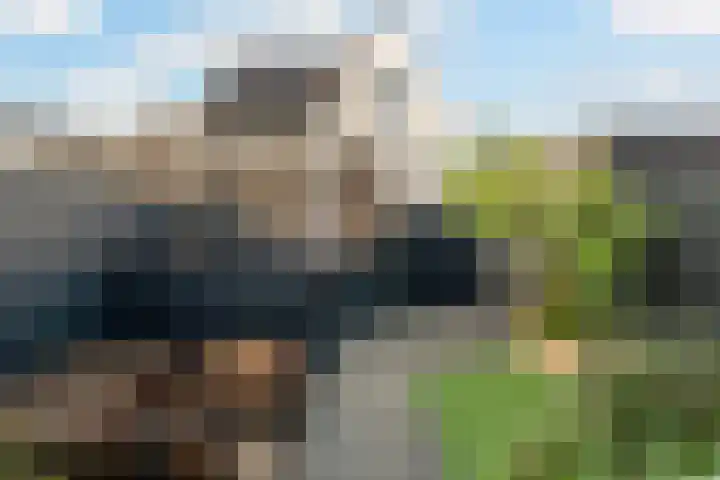 Brinkrijk 105 Pijnacker thumbnail 18