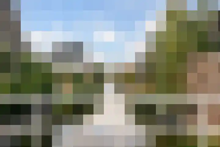 Brinkrijk 105 Pijnacker thumbnail 33