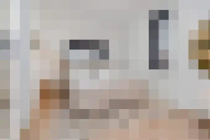 Brinkrijk 111 Pijnacker thumbnail 15
