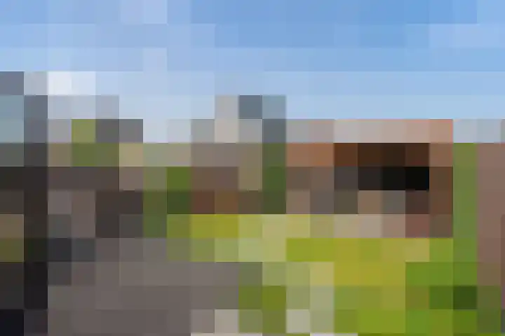 Brinkrijk 111 Pijnacker thumbnail 4