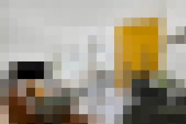 Brinkrijk 27 Pijnacker thumbnail 10