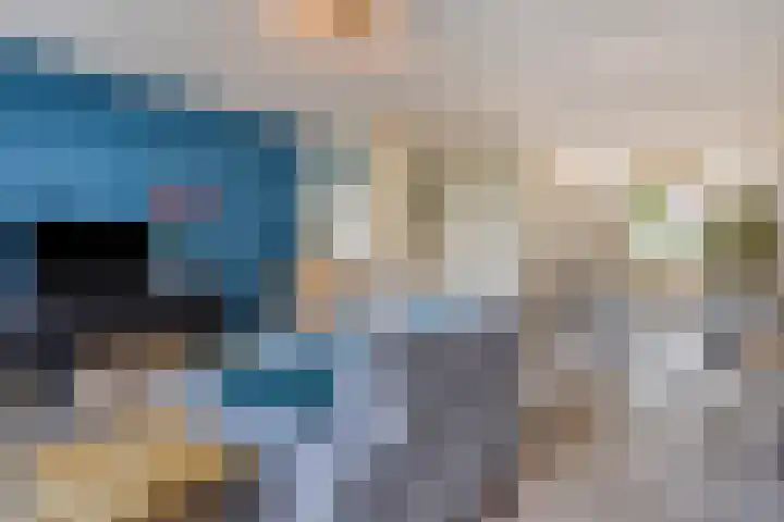 Brinkrijk 3 Pijnacker thumbnail 10