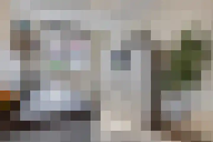 Brinkrijk 3 Pijnacker thumbnail 11
