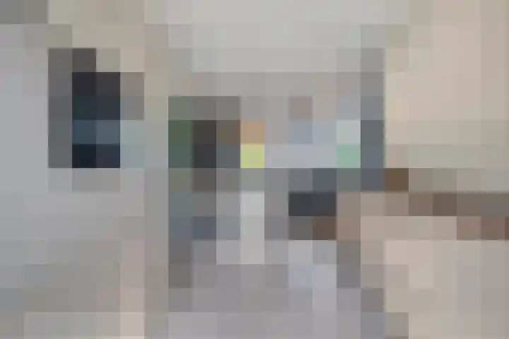 Brinkrijk 3 Pijnacker thumbnail 13