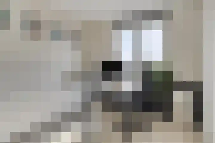 Brinkrijk 3 Pijnacker thumbnail 17