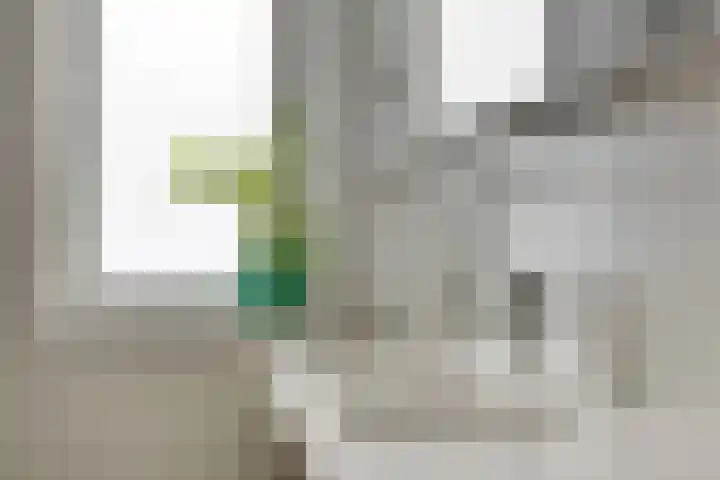 Brinkrijk 3 Pijnacker thumbnail 18
