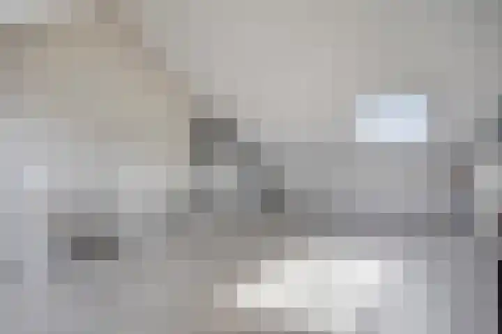 Brinkrijk 3 Pijnacker thumbnail 20