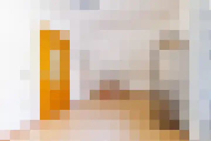 Brinkrijk 3 Pijnacker thumbnail 31