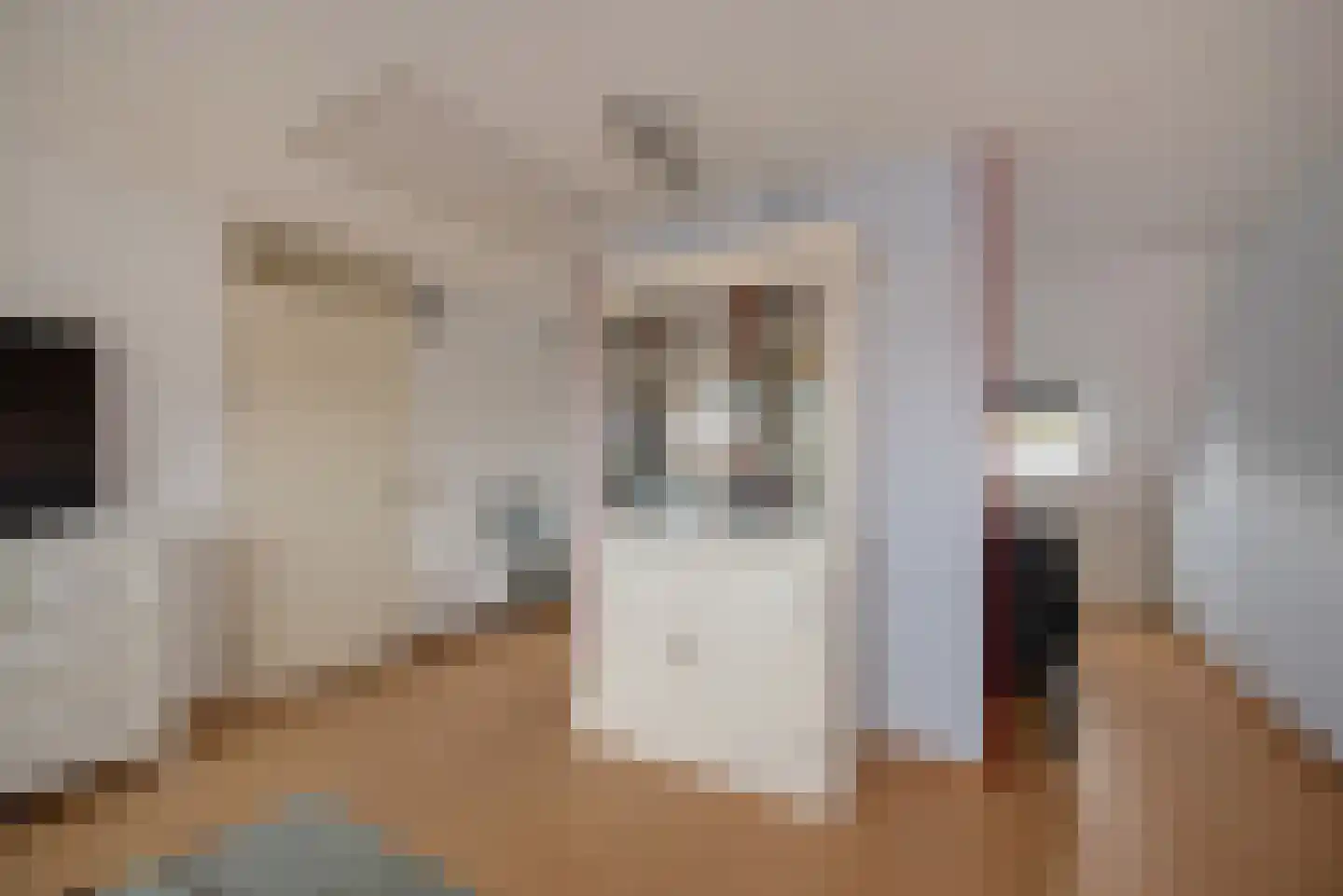 Brinkrijk 3 Pijnacker thumbnail 5