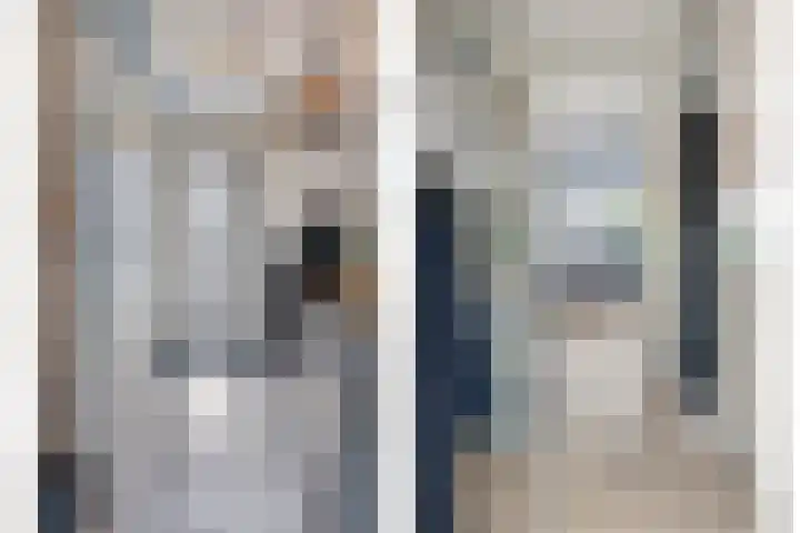 Brinkrijk 3 Pijnacker thumbnail 7