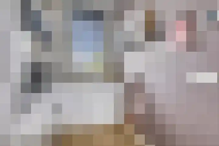 Brinkrijk 33 Pijnacker thumbnail 14