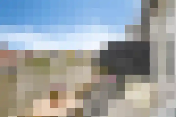 Brinkrijk 33 Pijnacker thumbnail 26