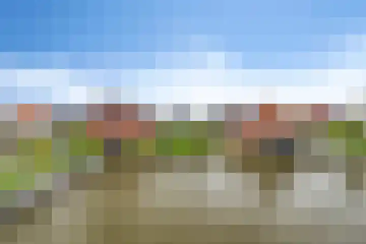 Brinkrijk 33 Pijnacker thumbnail 5
