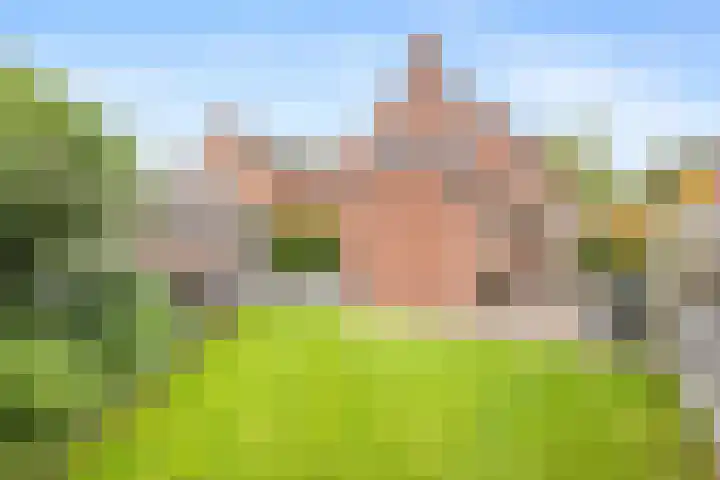 Brinkrijk 72 Pijnacker thumbnail 16