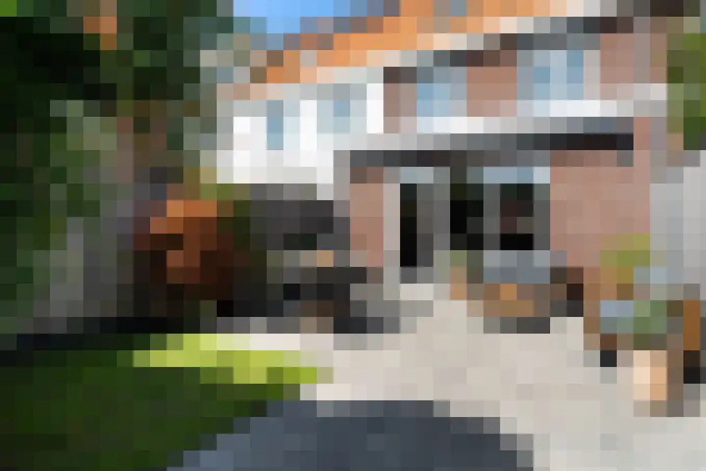 Brinkrijk 84 Pijnacker thumbnail 33