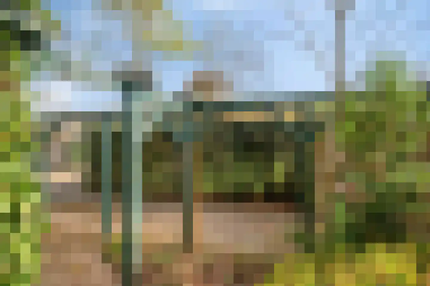 Brinkseweg 52 Driebergen-Rijsenburg thumbnail 36