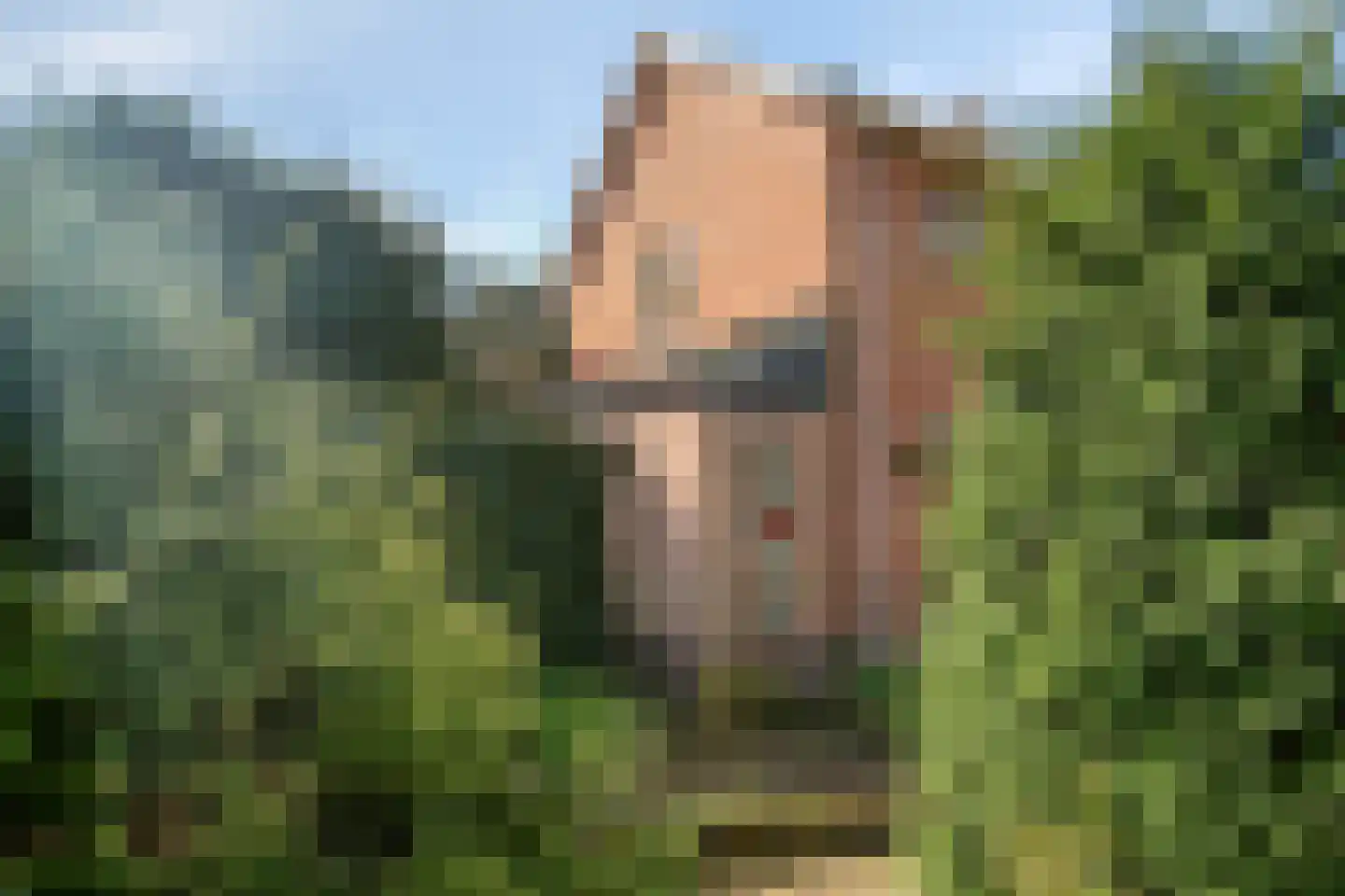 Brinkseweg 52 Driebergen-Rijsenburg thumbnail 4